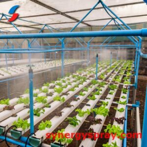 Hydroponic and Aeroponic misting system